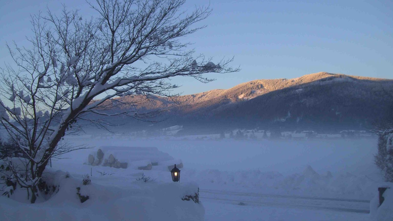 Photo of Others in Inzell