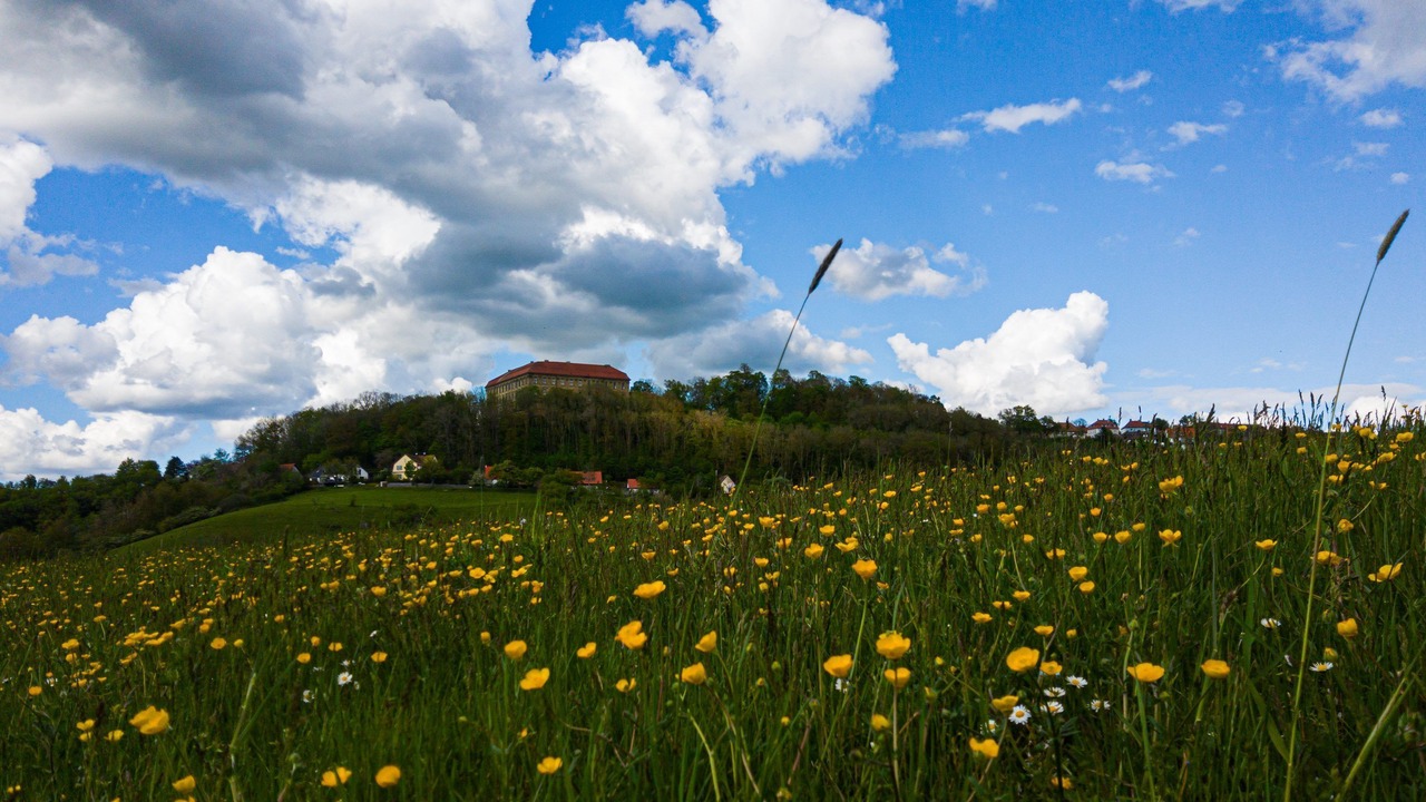 Photo of Others in Diebach