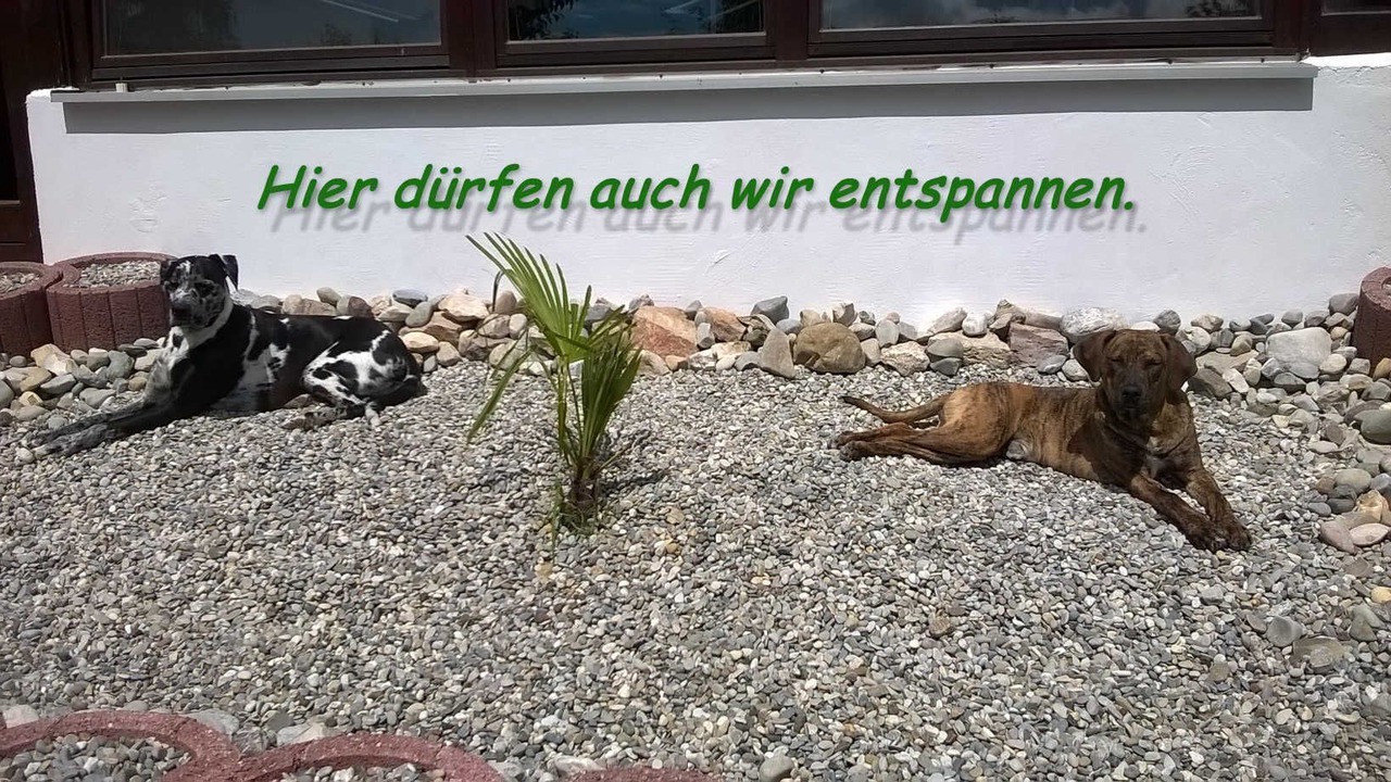Photo of Outdoor in Diebach