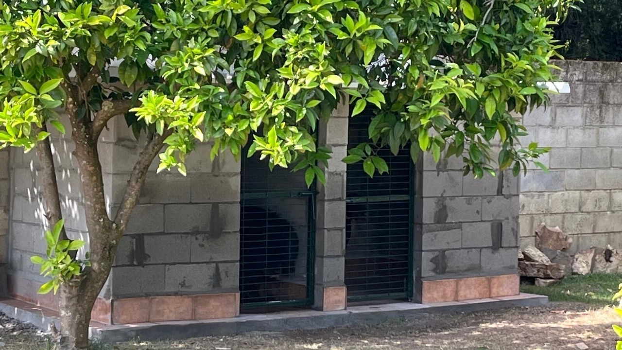 Photo of Outdoor in San Ambrosio