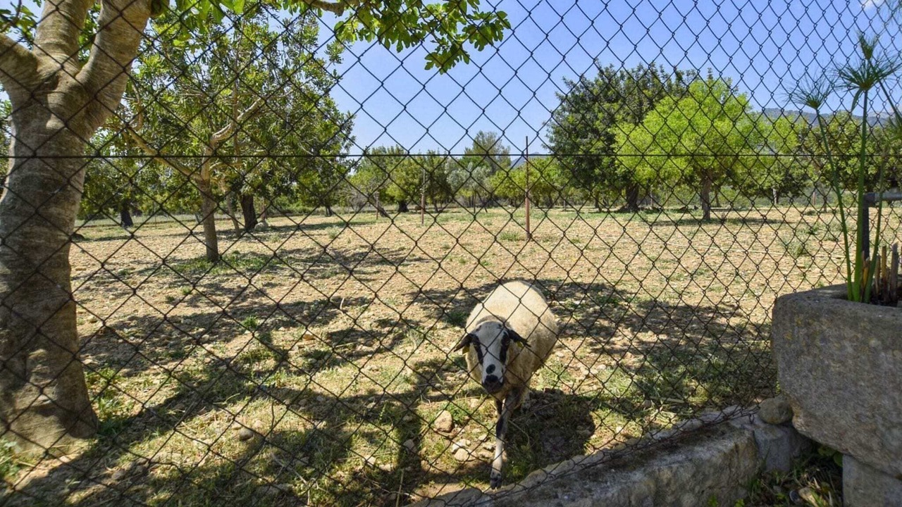 Photo of Others in Selva
