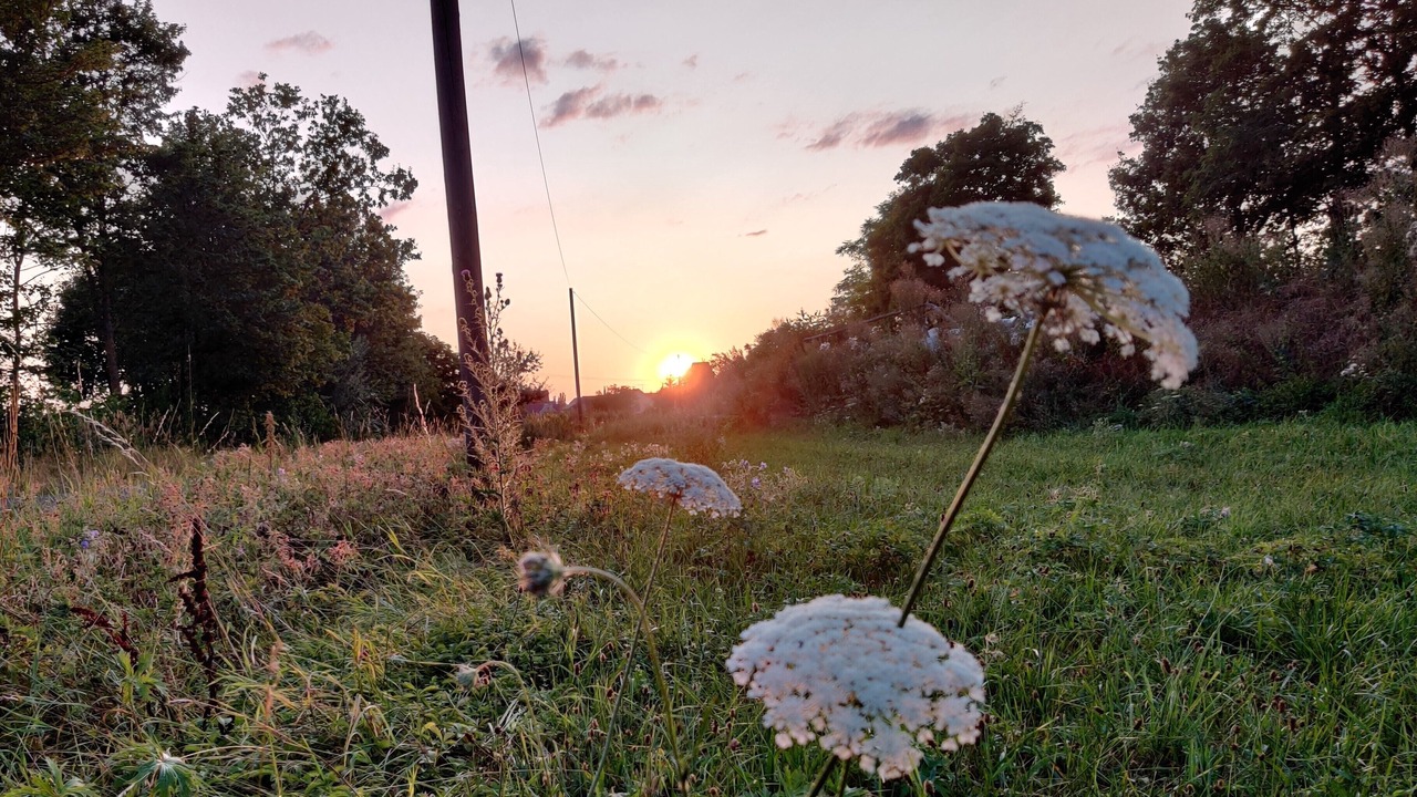 Photo of Outdoor in Oberschwarzach