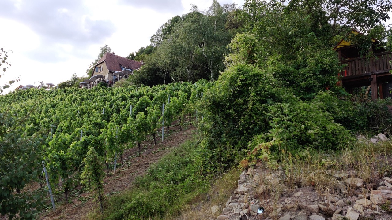 Photo of Outdoor in Oberschwarzach