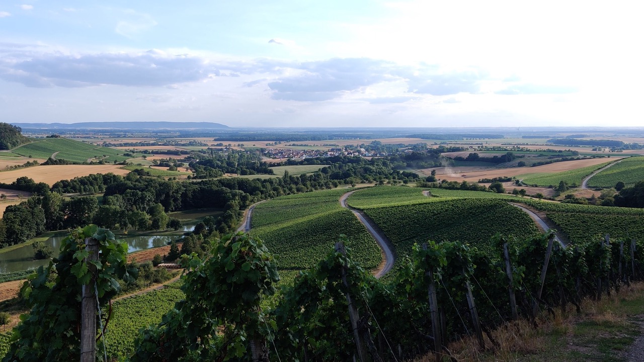 Photo of Others in Oberschwarzach