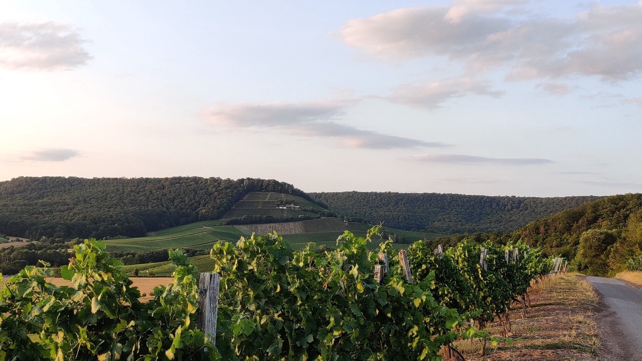 Photo of Outdoor in Oberschwarzach