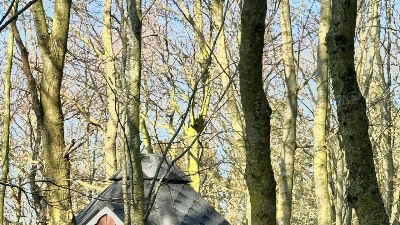 Photo of Outdoor in Mariendorf