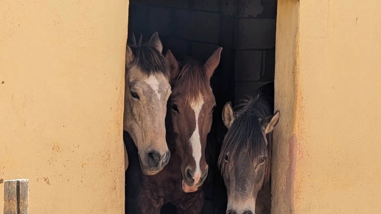 Photo of Others in Villanueva del Trabuco
