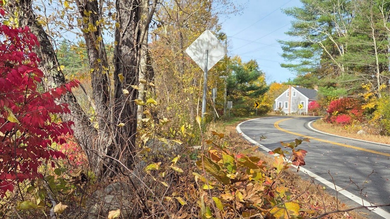 Photo of Outdoor in Mason