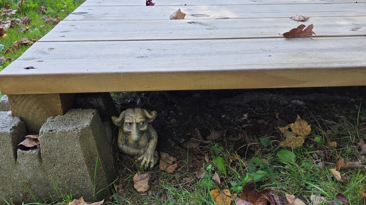 Photo of Outdoor in Mason