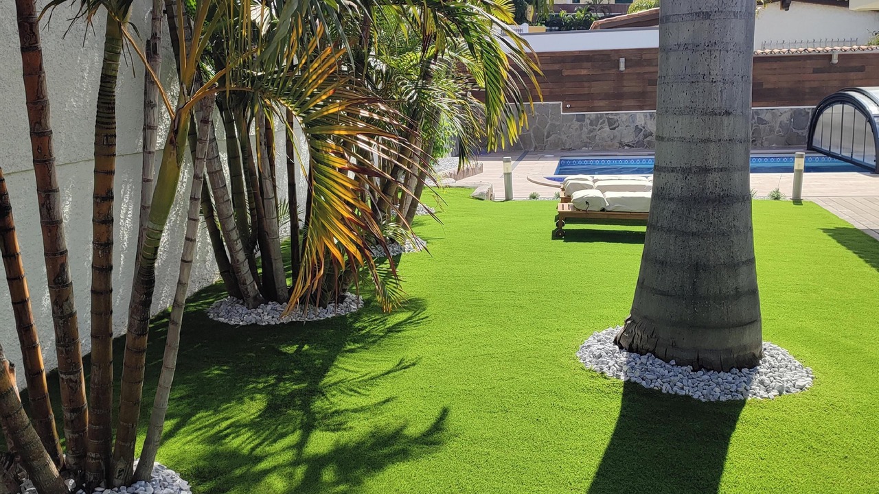 Photo of Outdoor in Puerto de la Cruz