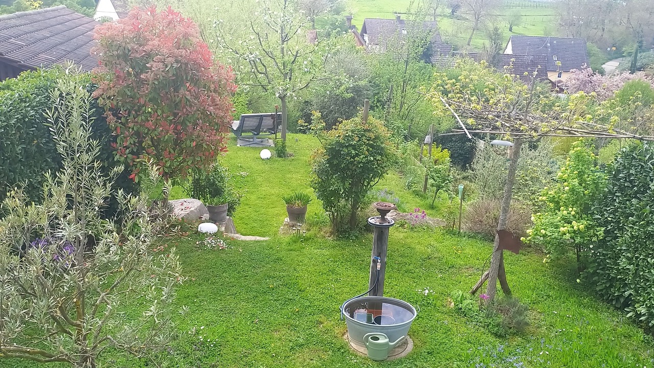 Photo of Outdoor in Britzingen