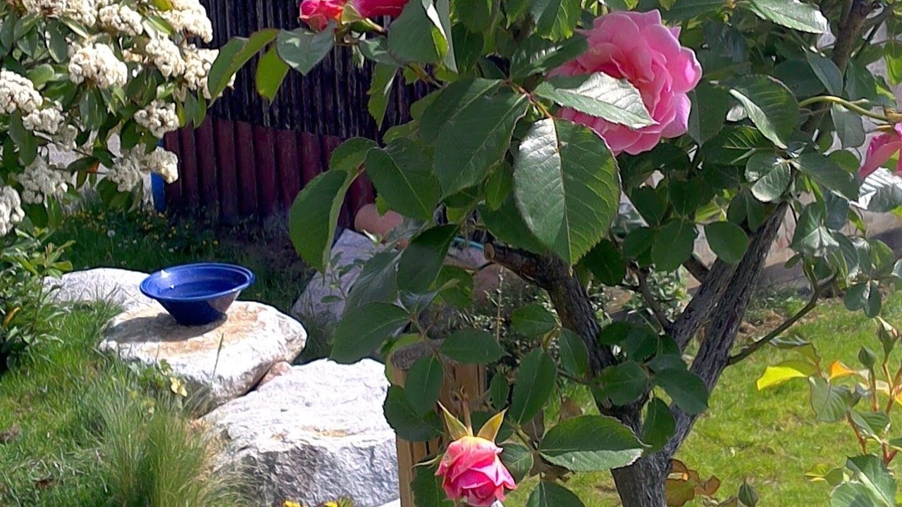 Photo of Outdoor in Britzingen