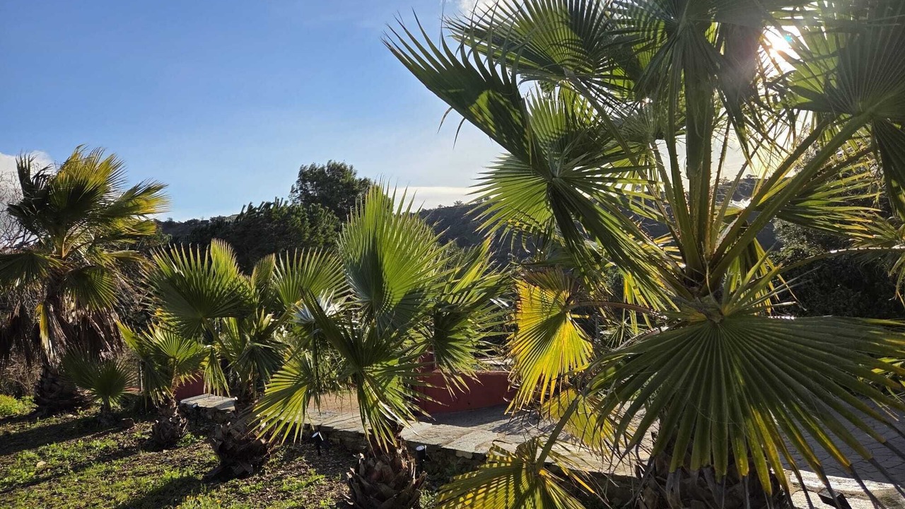 Photo of Outdoor in Casabermeja