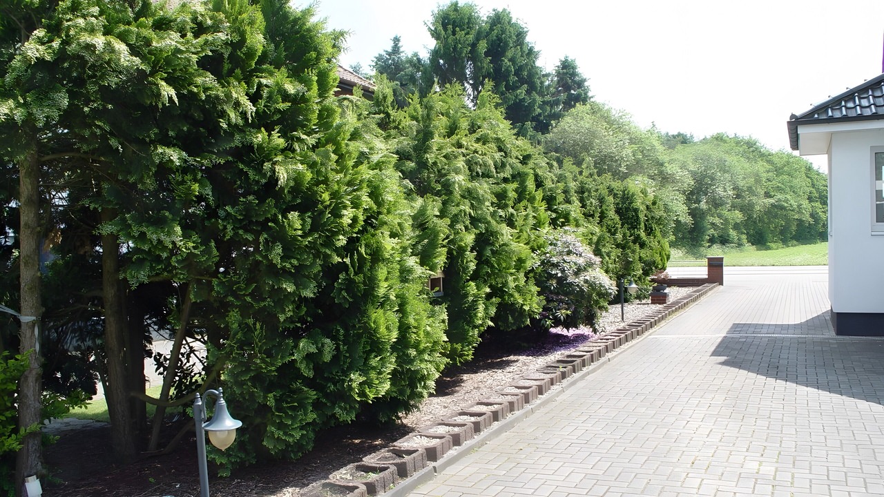 Photo of Outdoor in Lotte