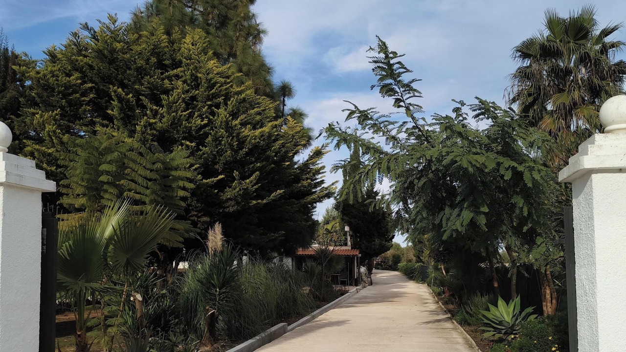 Photo of Outdoor in Pedreguer