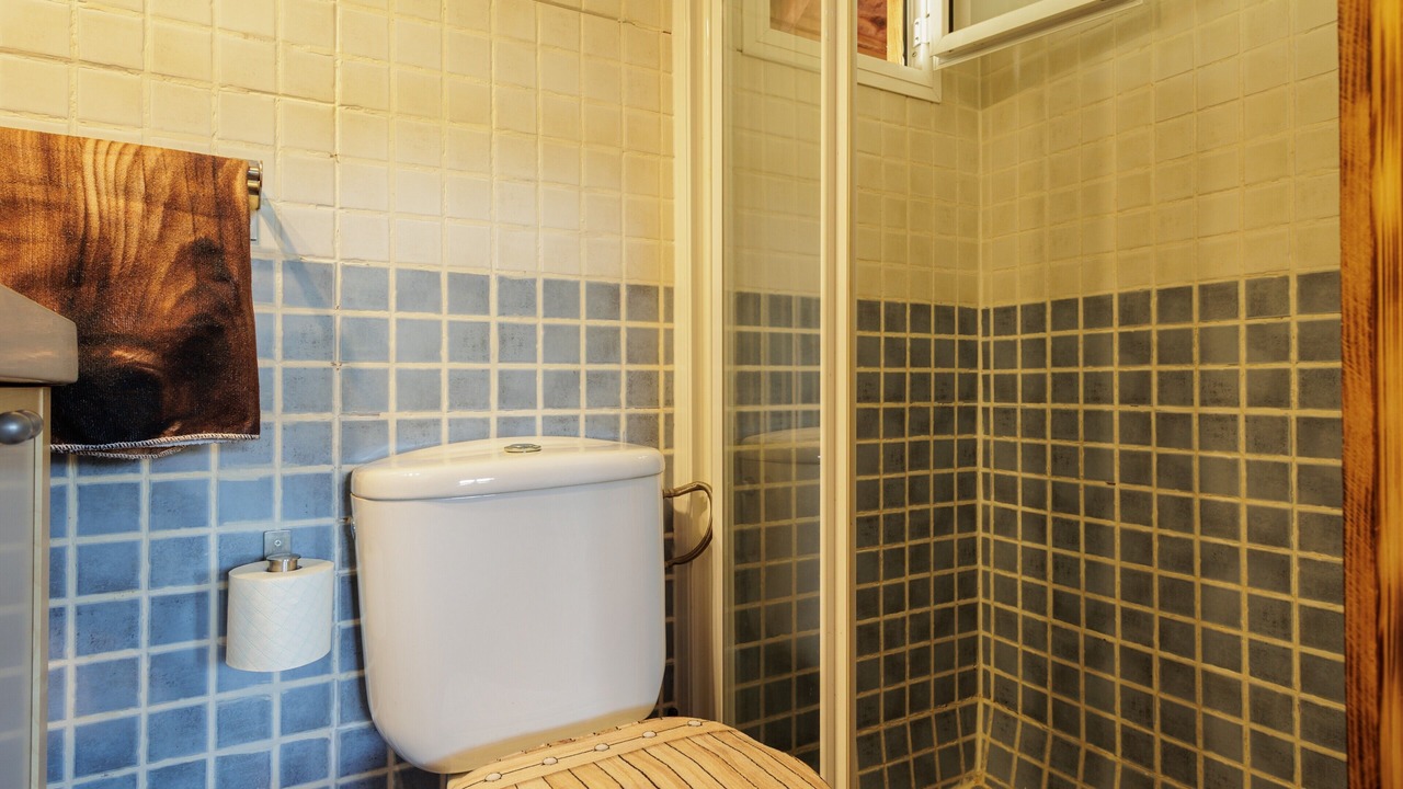 Photo of Bathroom in Guillena