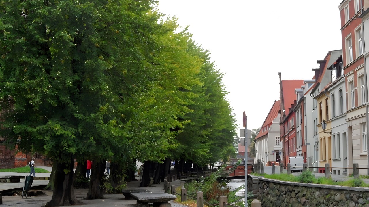 Photo of Others in Wismar
