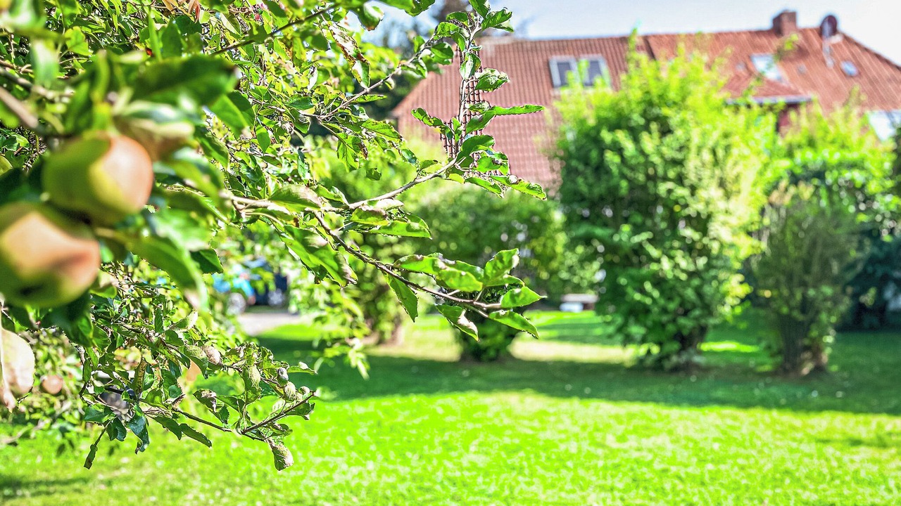 Photo of Outdoor in Boltenhagen