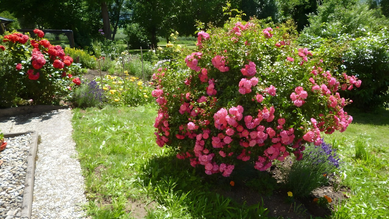 Photo of Outdoor in Weilheim