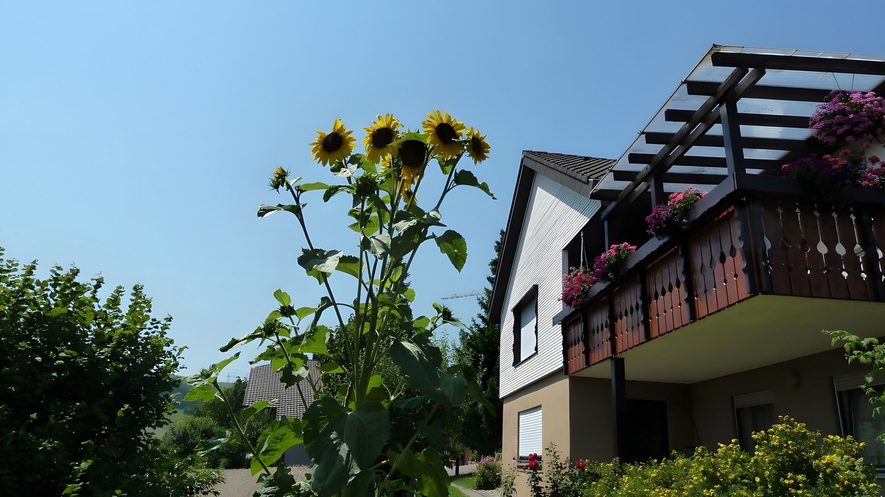 Photo of Outdoor in Weilheim