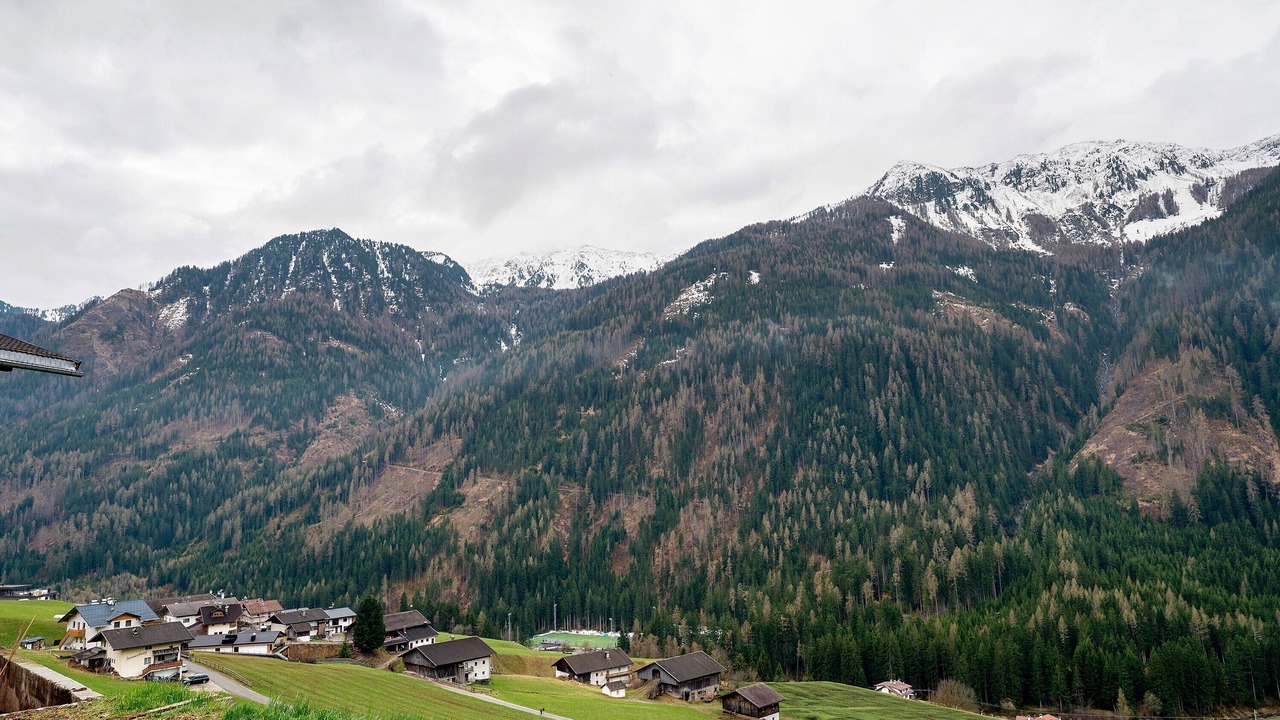 Photo of Others in Selva dei Molini