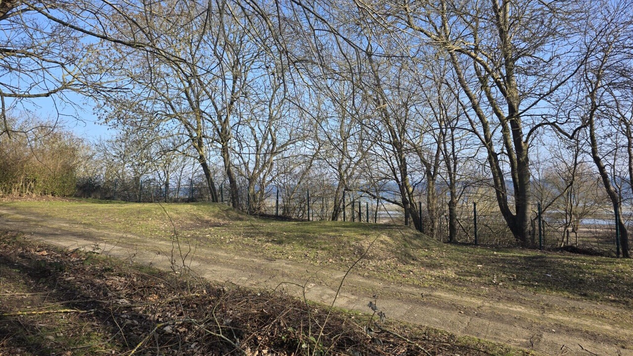 Photo of Others in Wohlenberg