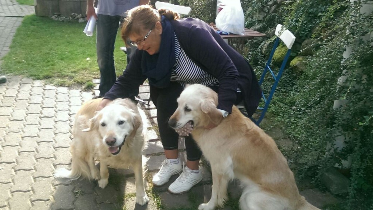 Photo of Others in Wittenbeck