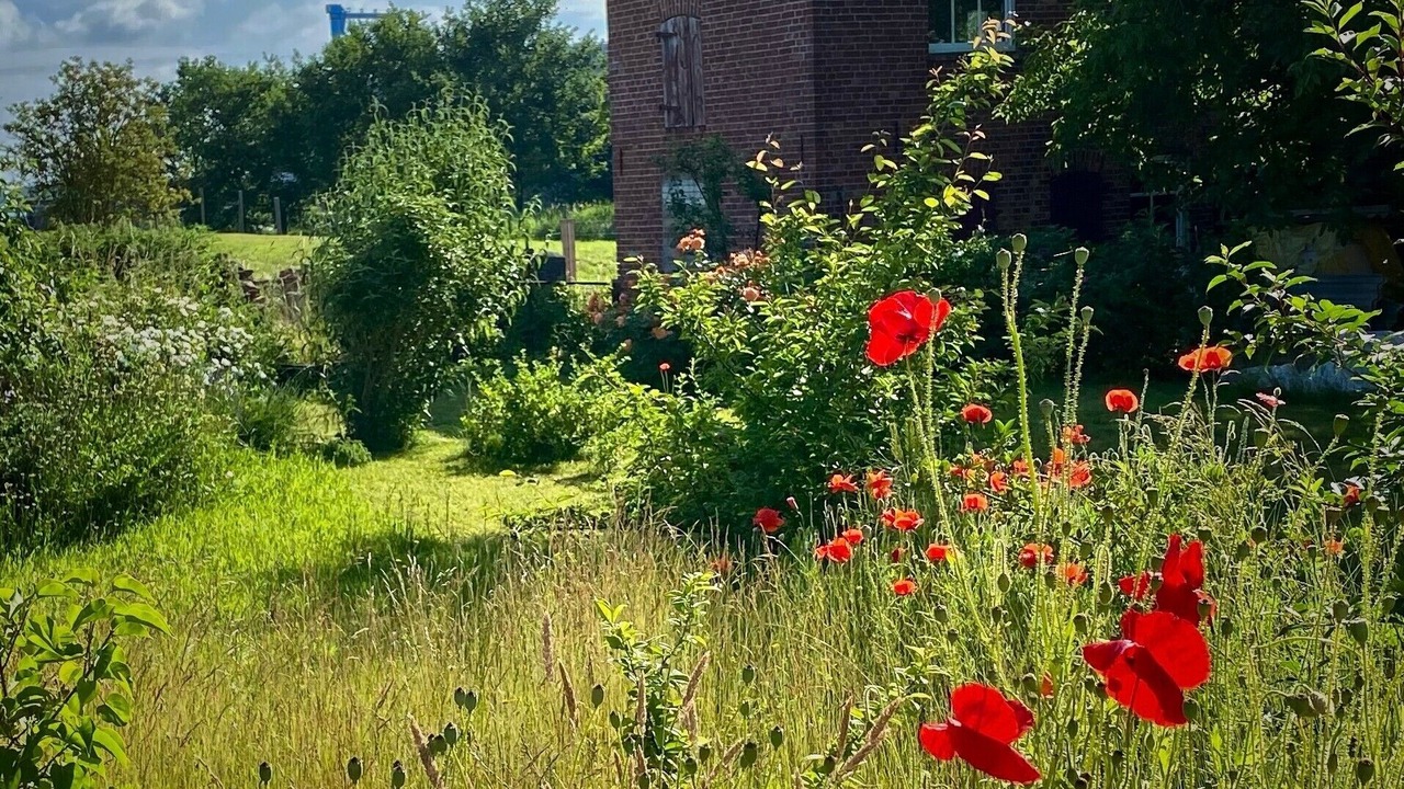 Photo of Outdoor in Kroeslin