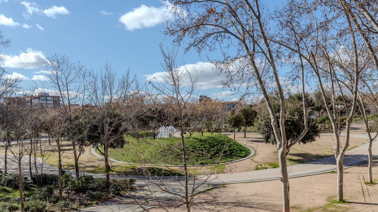 Photo of Others in Carabanchel