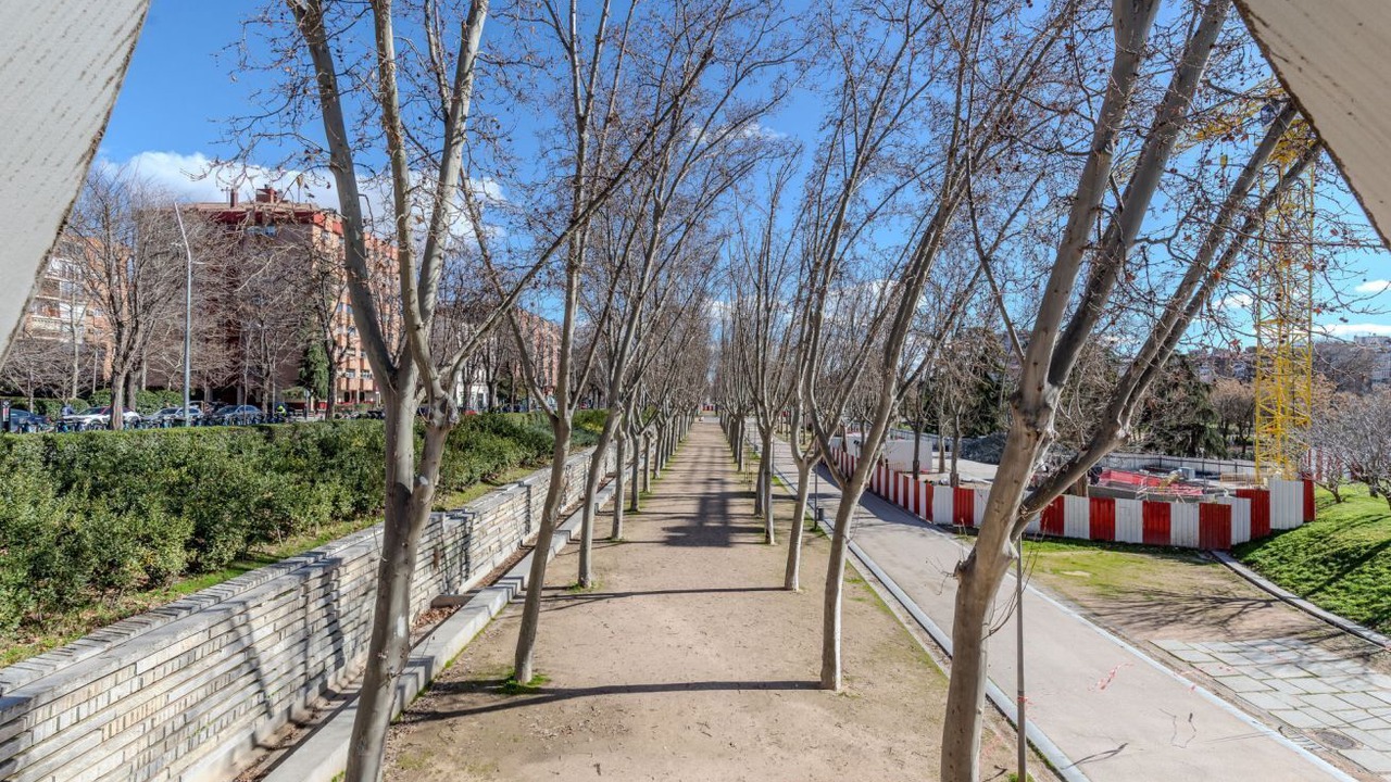 Photo of Others in Carabanchel