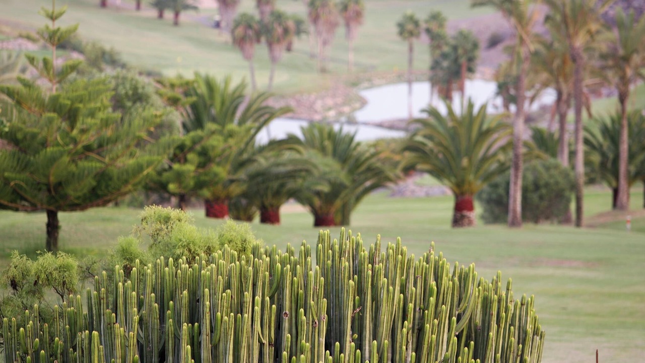 Photo of Outdoor in Salobre