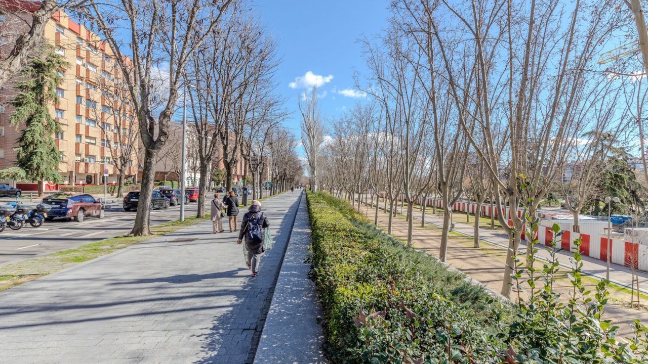 Photo of Others in Carabanchel