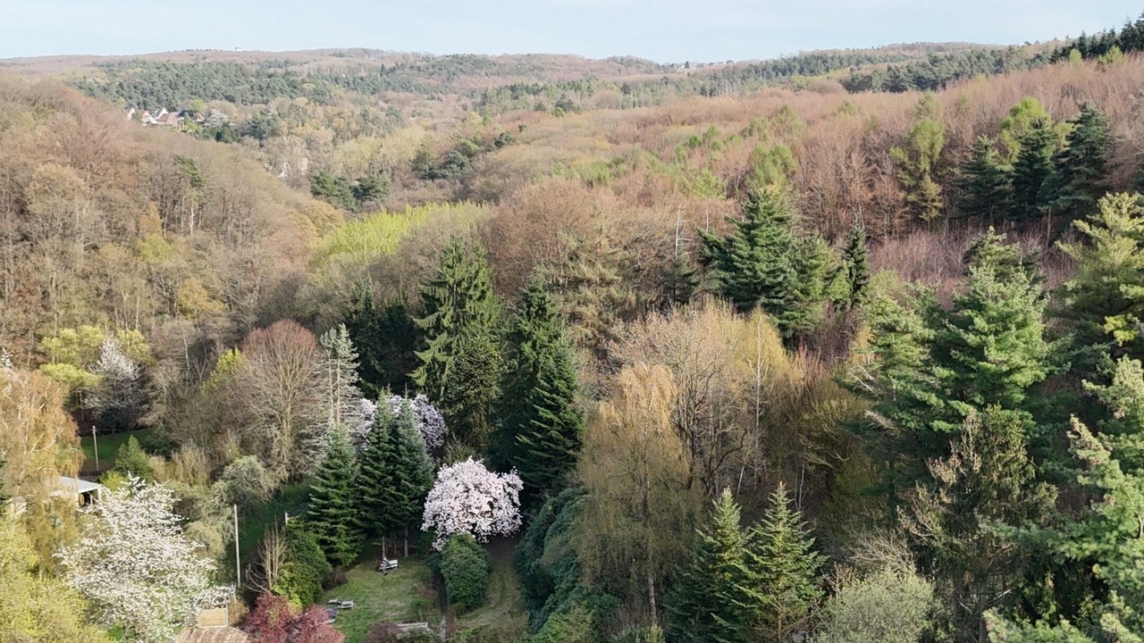 Photo of Outdoor in Witten