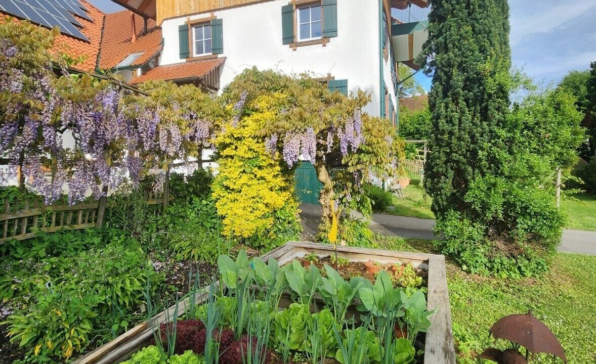 Photo of Outdoor in Bodolz