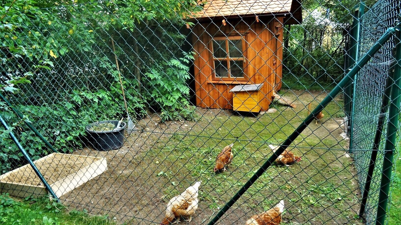 Photo of Outdoor in Hiltpoltstein