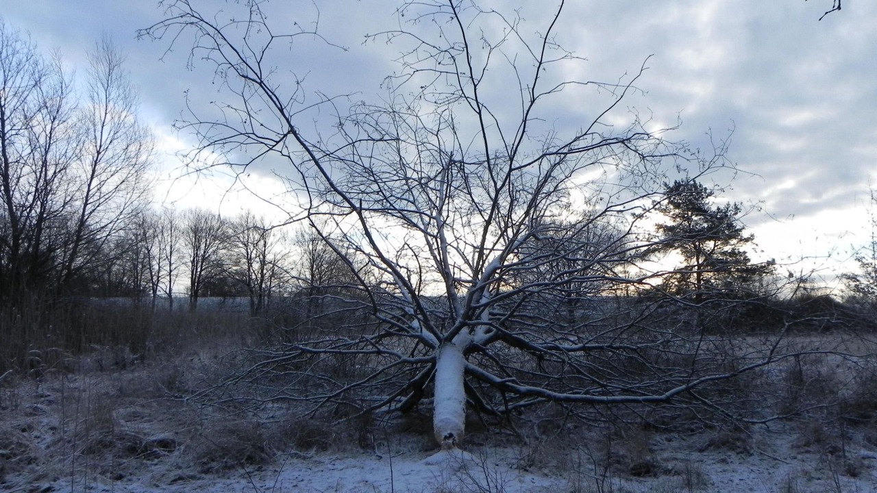 Photo of Others in Ruterberg