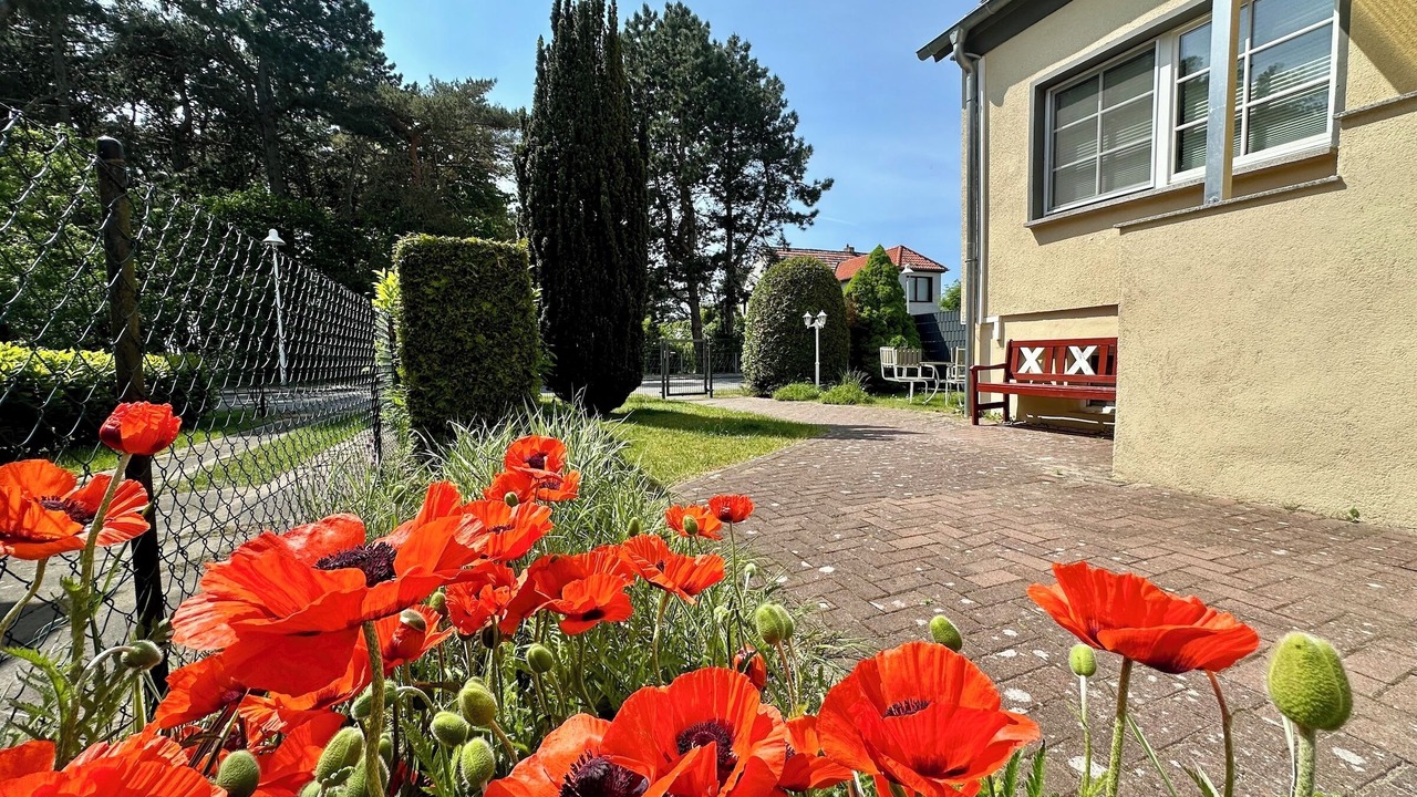 Photo of Outdoor in Thiessow