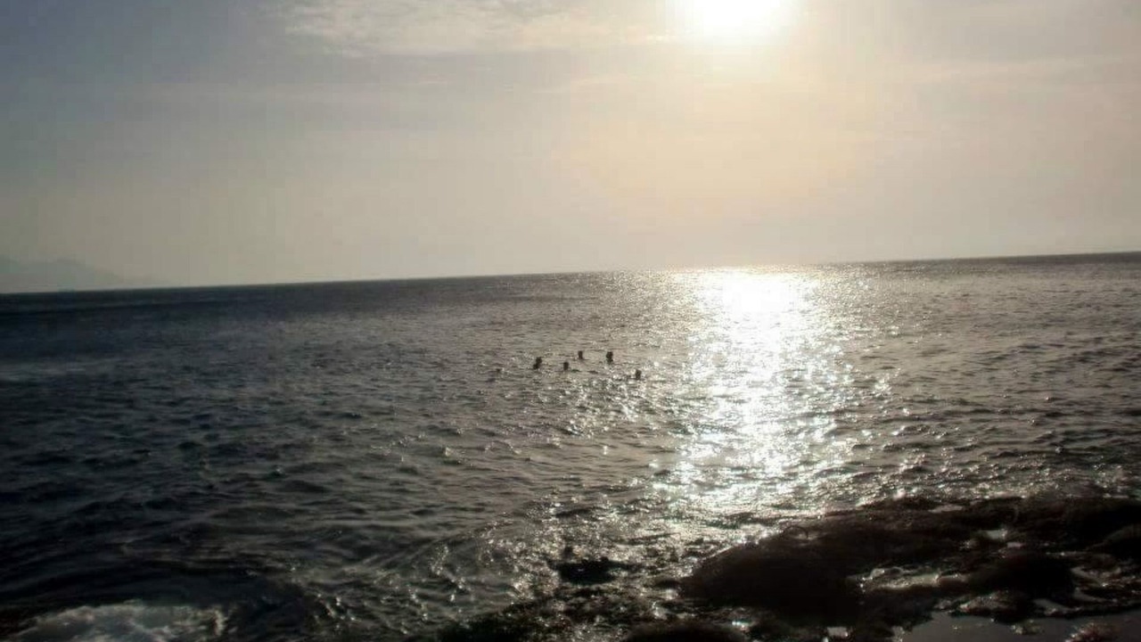 Photo of Others in Galdar