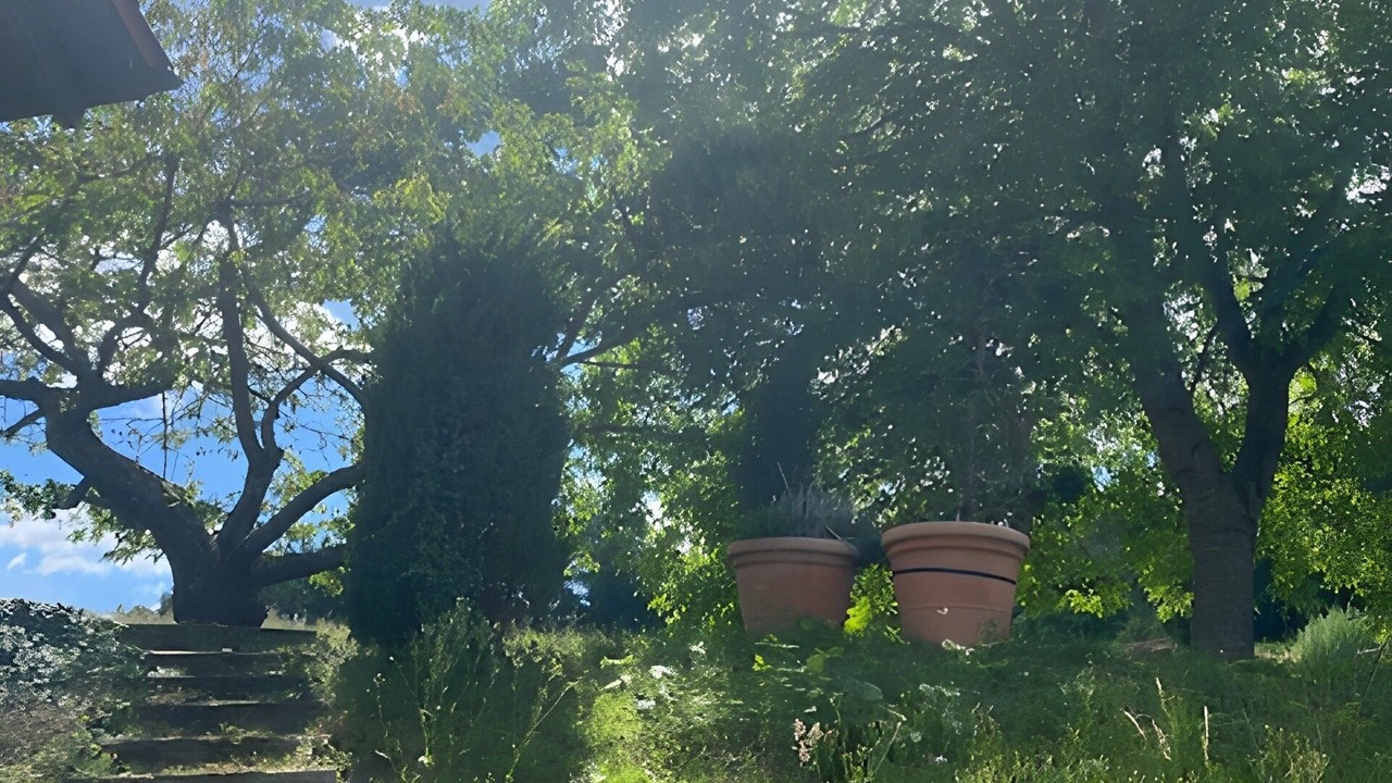 Photo of Others in Waldbeuren