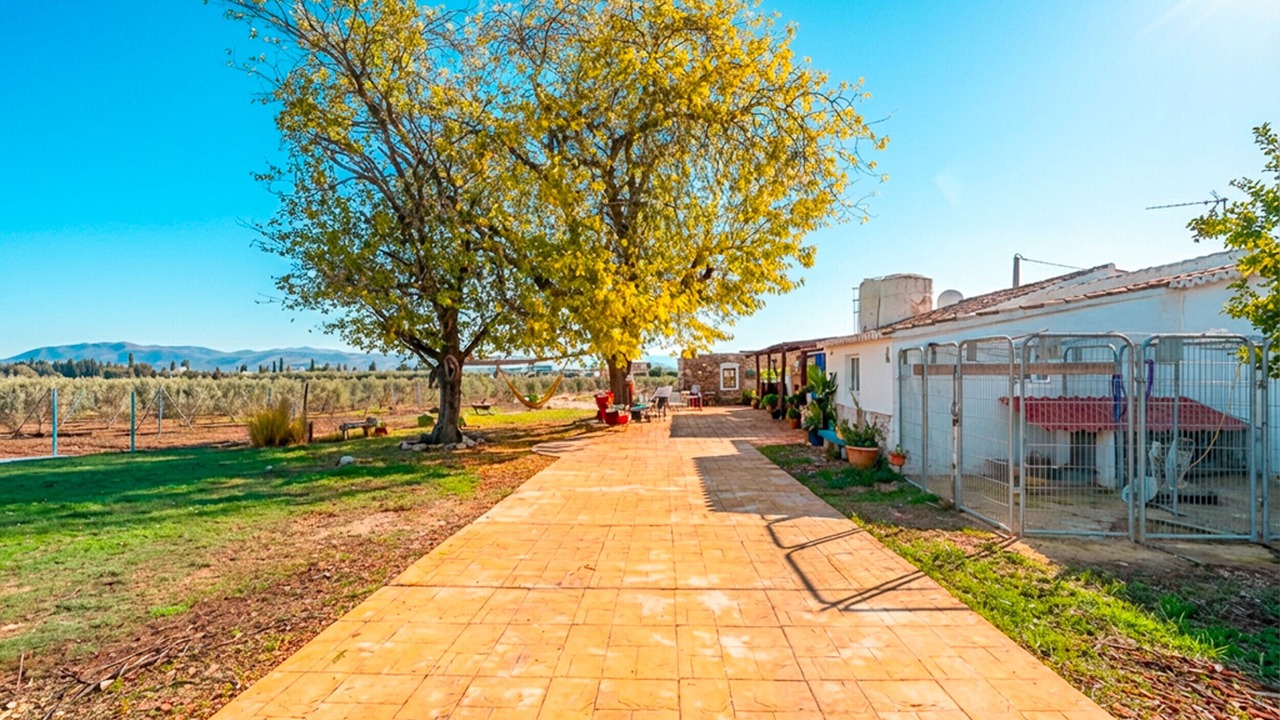 Photo of Outdoor in Antequera