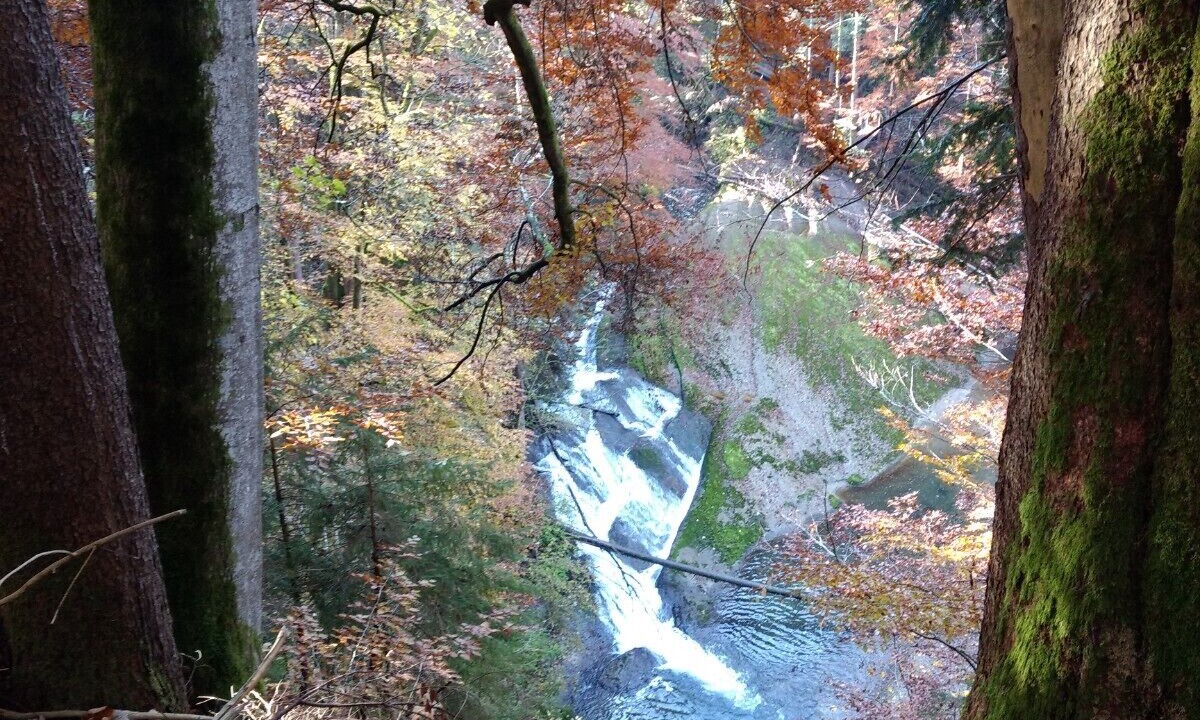 Photo of Others in Isny im Allgaeu
