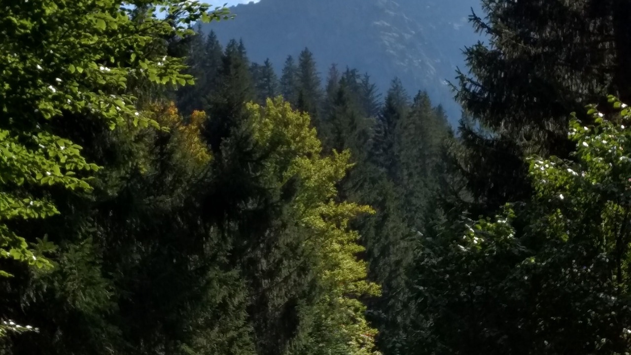 Photo of Others in Isny im Allgaeu