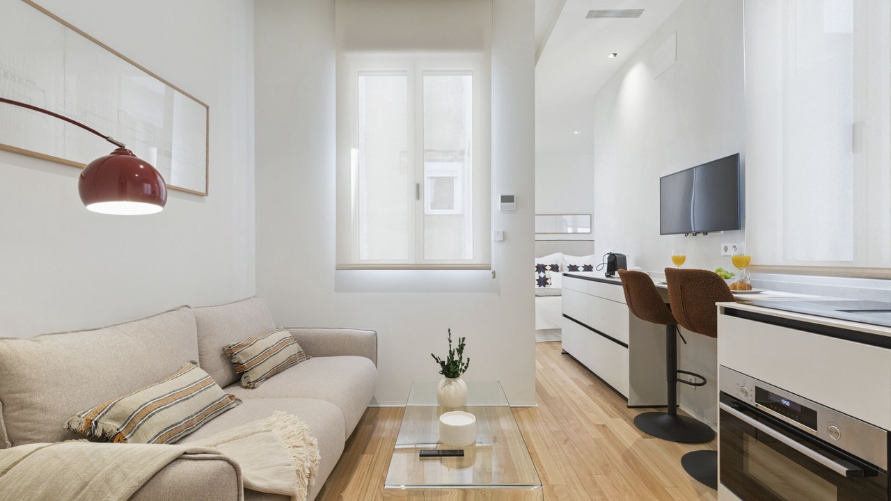 Photo of Livingroom in Embajadores