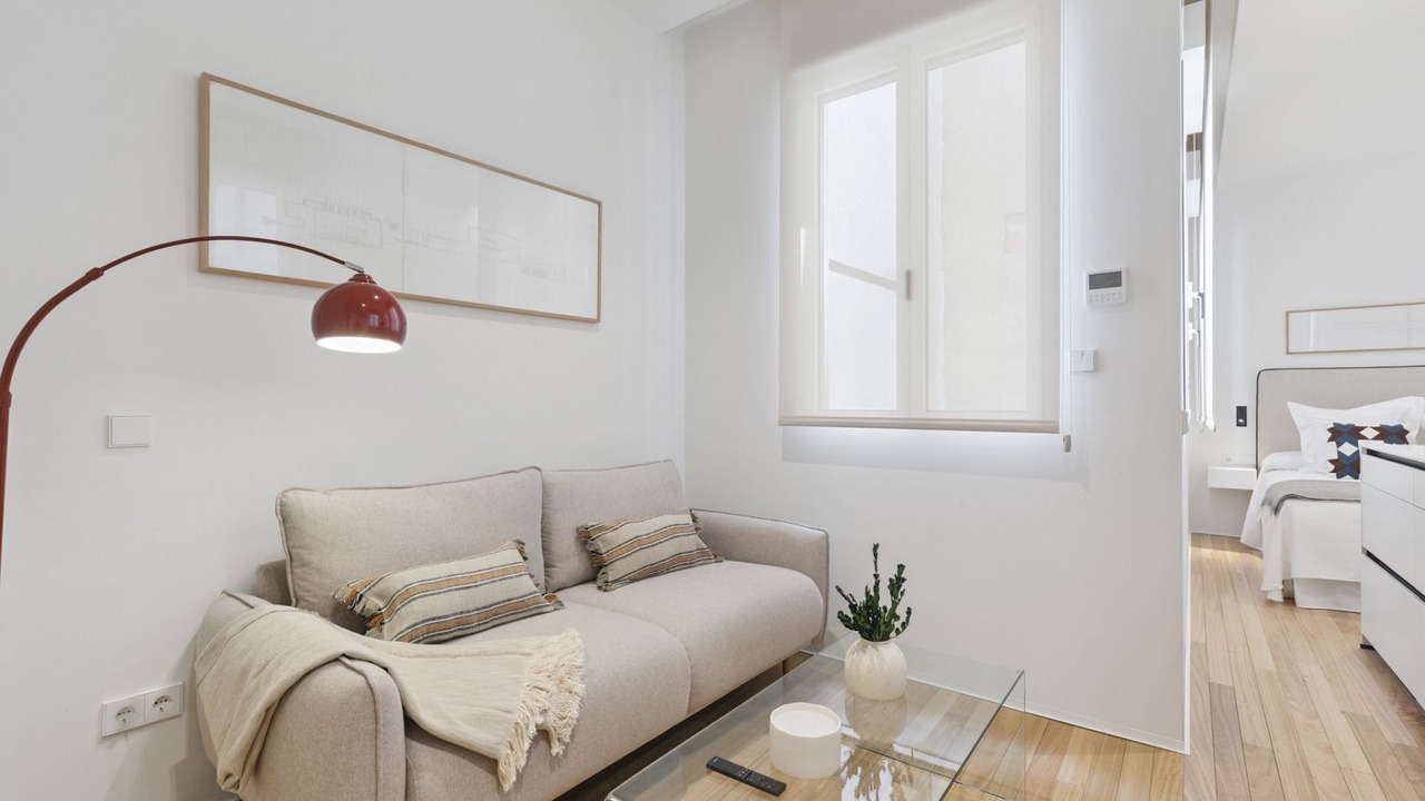 Photo of Livingroom in Embajadores