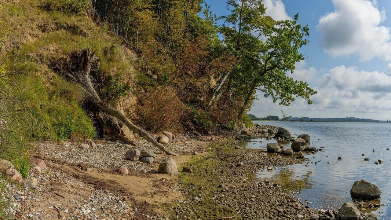 Photo of Others in Neddesitz