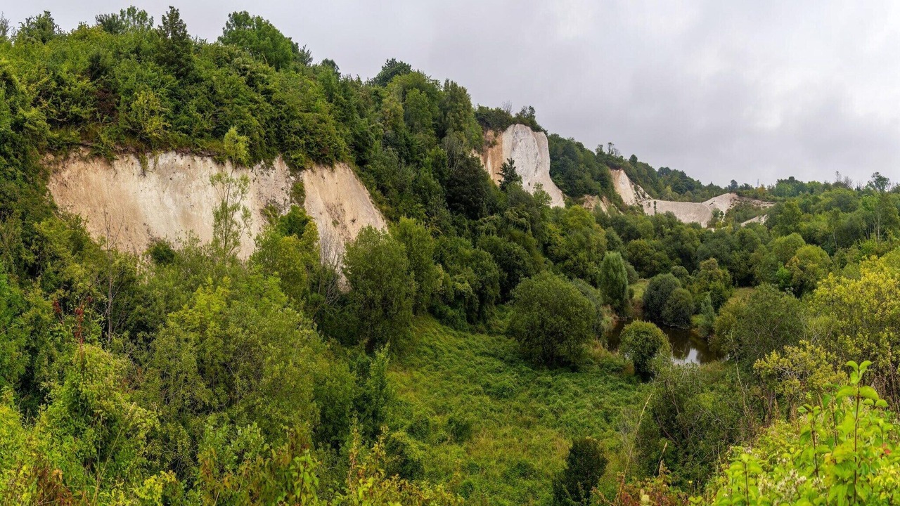 Photo of Others in Neddesitz