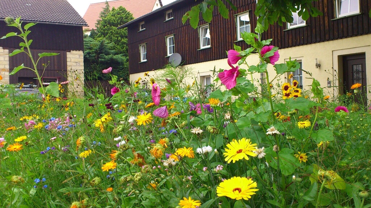 Photo of Outdoor in Weißig