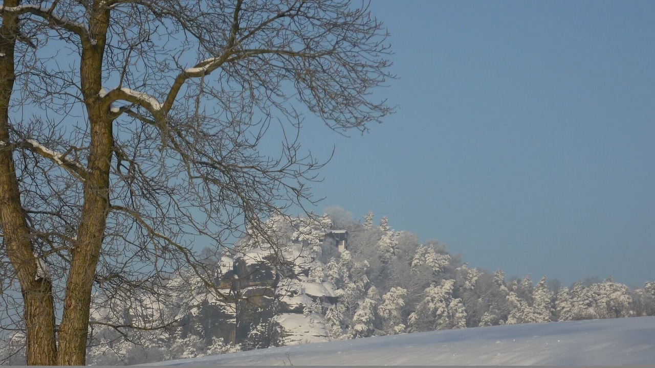 Photo of Others in Weißig