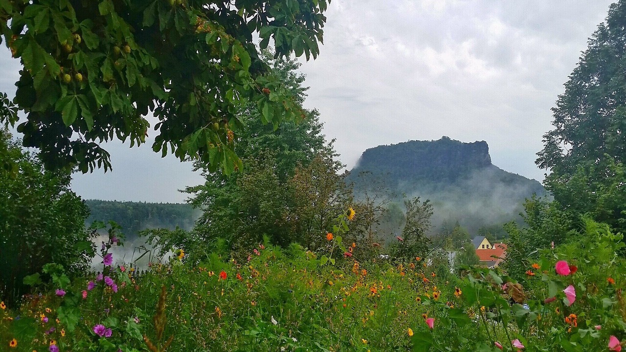 Photo of Others in Weißig