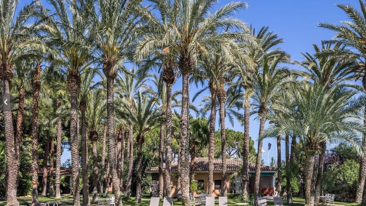 Photo of Outdoor in L'Eliana